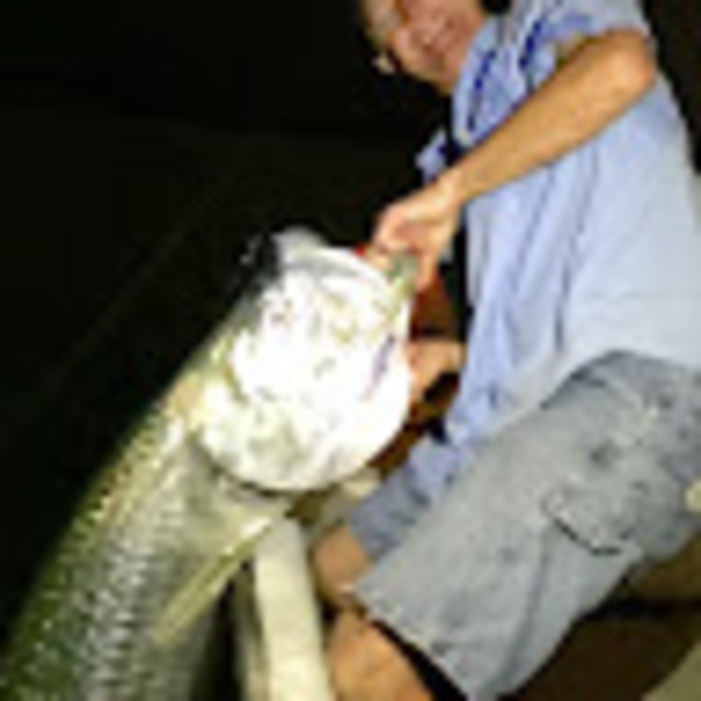 Meet your Posher, Todd